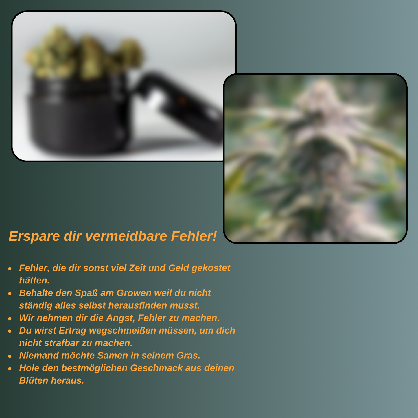 Homegrow made Easy