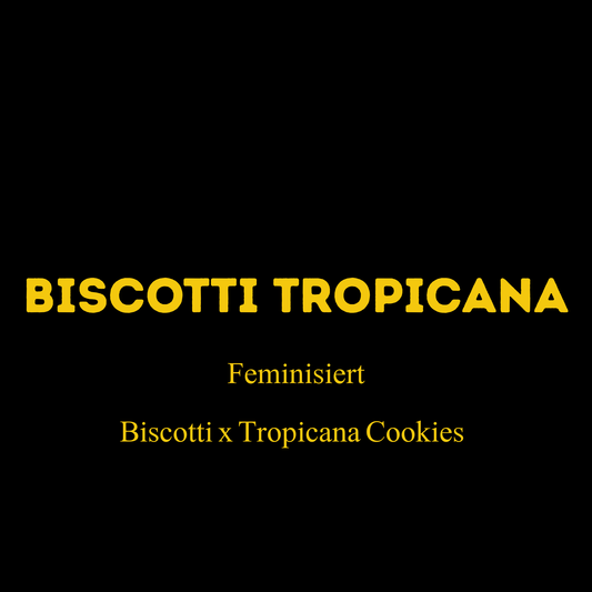 Biscotti Tropicana (fem.)