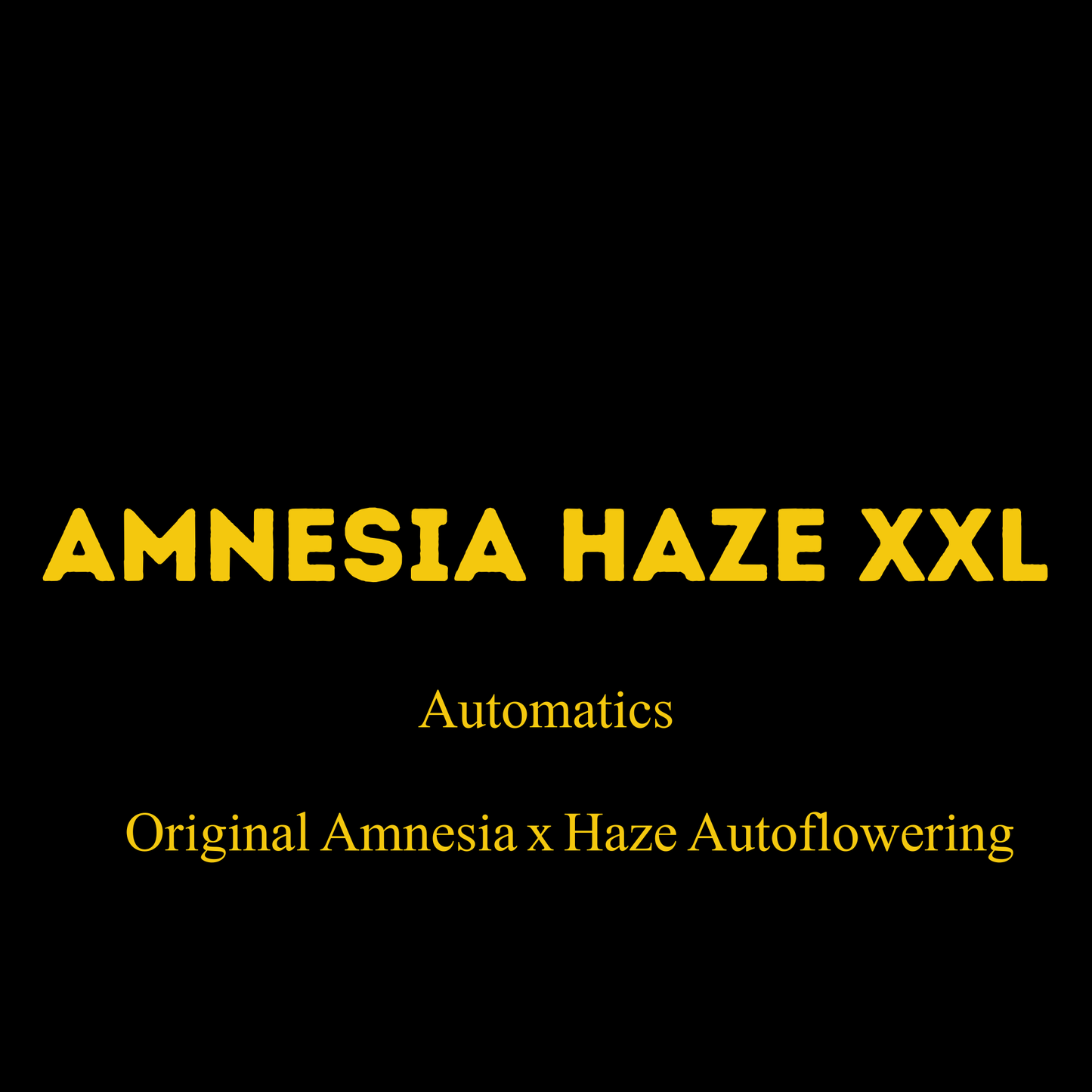 Amnesia Haze XXL (Auto)